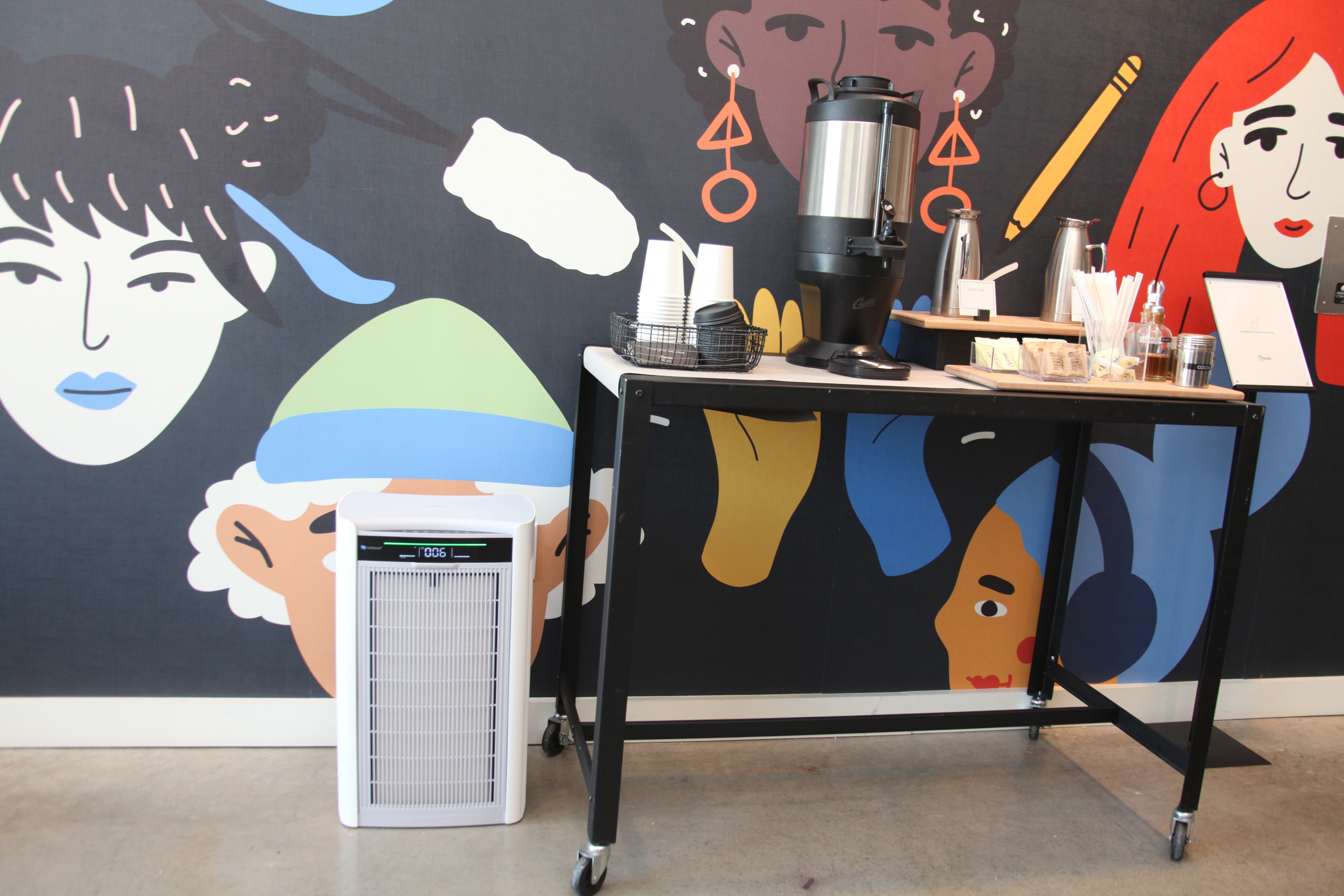 Can Air Purifiers & Humidifiers Coexist?