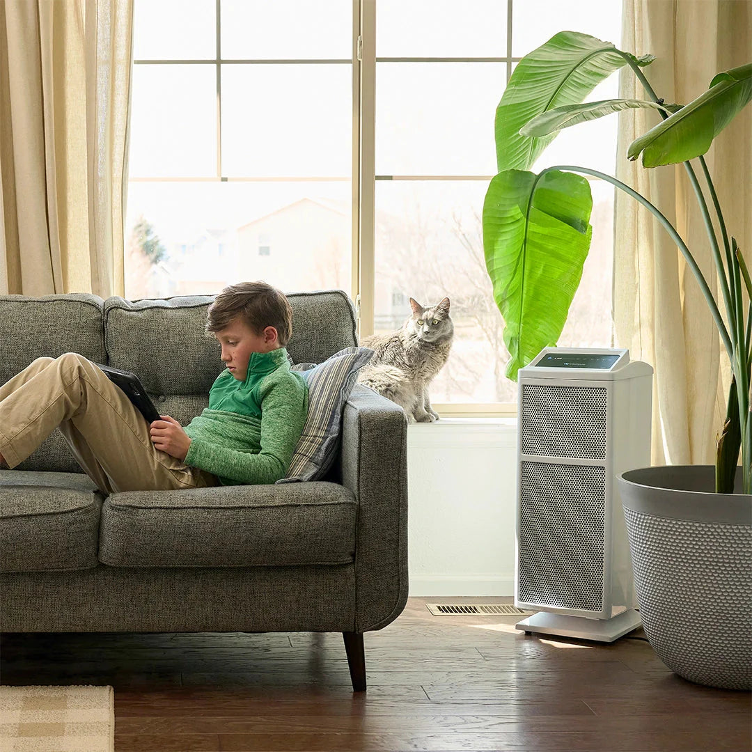 Where Do I Place My Air Purifier?