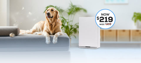 Brown dog on a cushion with an air purifier in the background and a blue outlined circle that says "Now $219"