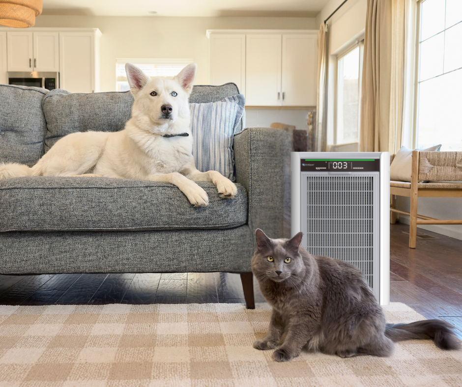 Dog and cat sitting in a living room with an air purifier between them.