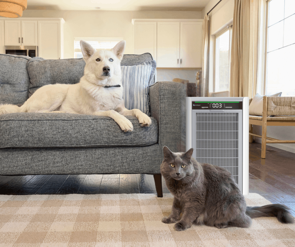 Smart HEPA Air Purifier and Filter Replacement Bundle with WiFi/App Control