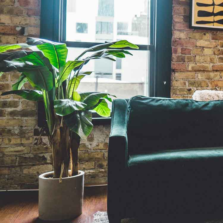 10 Ways to Improve Indoor Air Quality