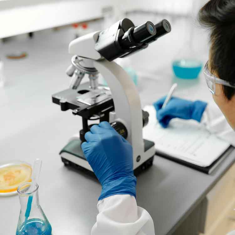 Air Pollution Plays Crucial Role in Cellular Health