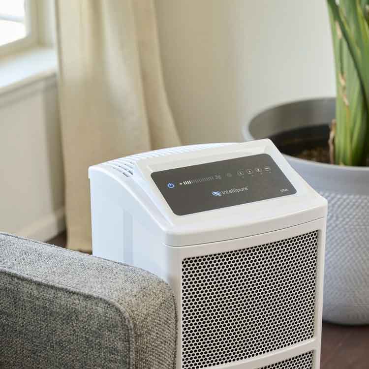 Air Purification: The Small Change that Makes a Big Difference