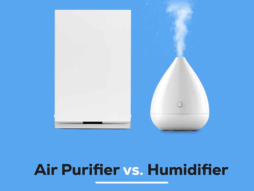Air Purifier vs. Humidifier: Key Differences Explained