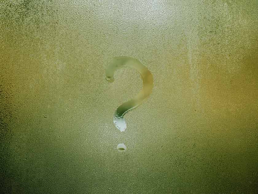 Do Air Purifiers Help Control Humidity Levels?