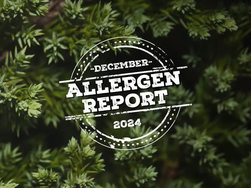 Allergen Report December 2024