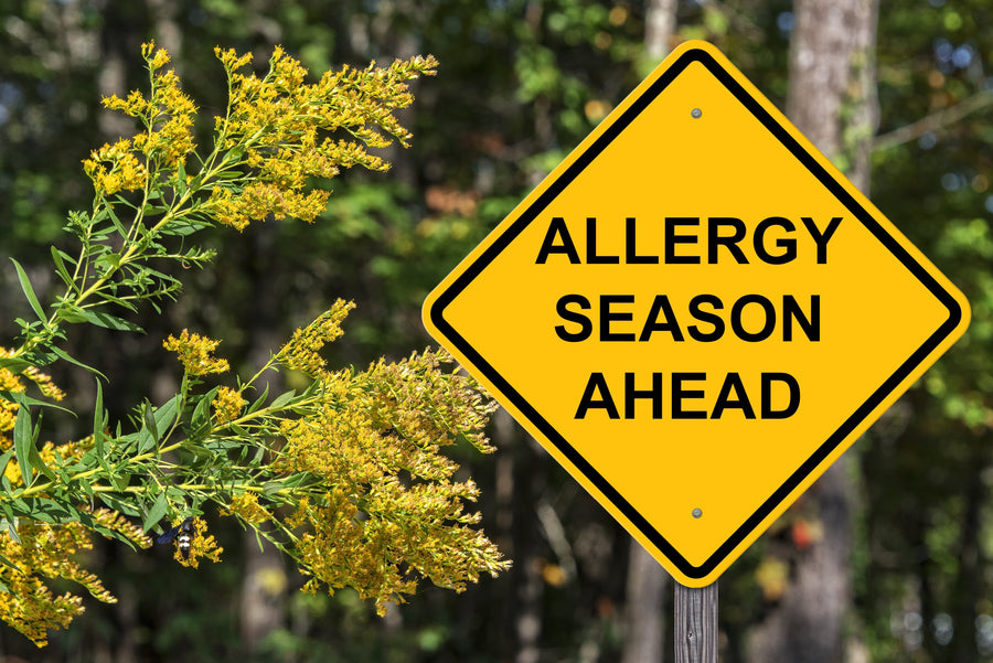 The Official Home Allergy-Proofing Checklist