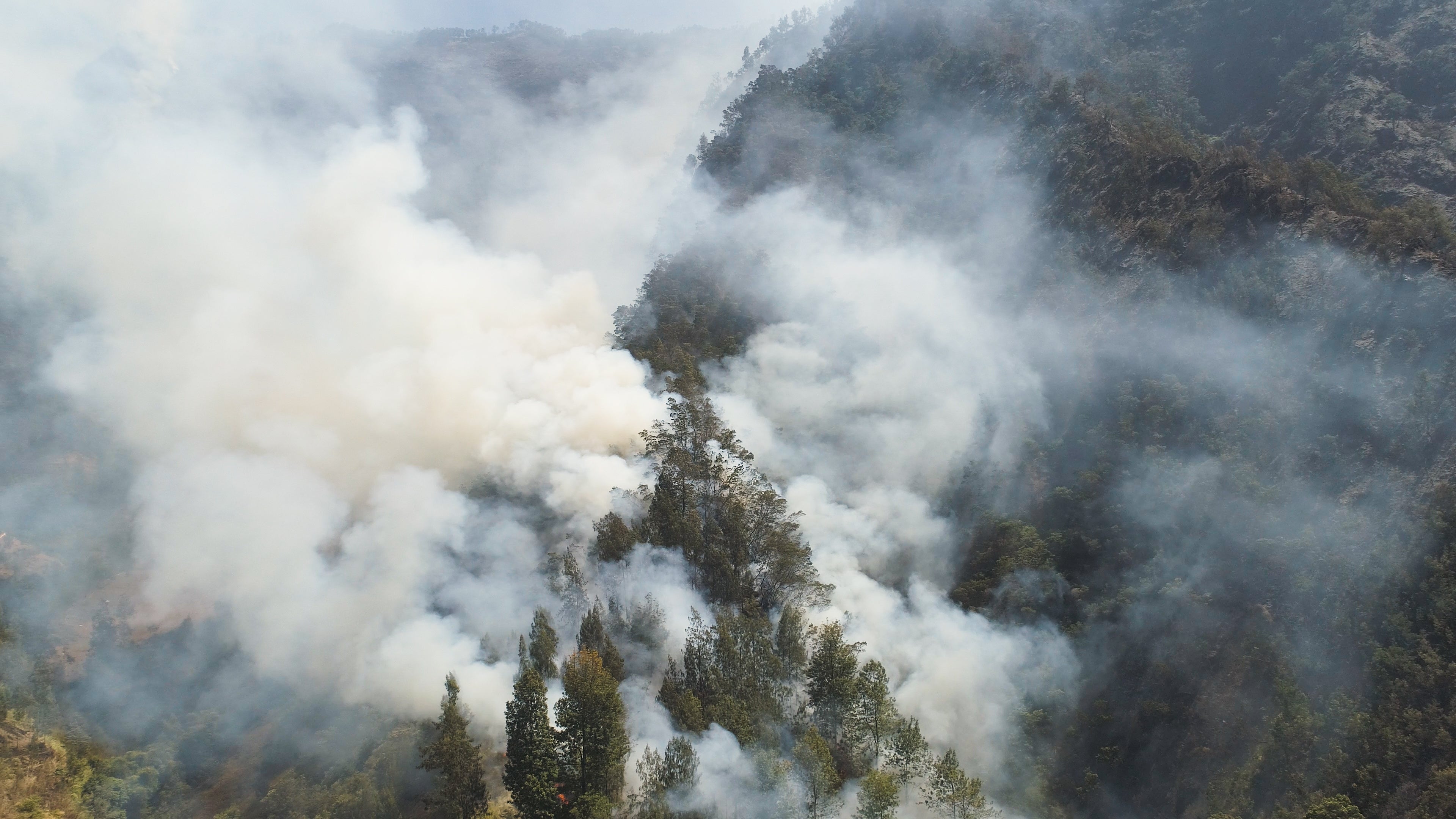 Lessons About Wildfire Smoke, One Year After the Los Angeles Fires