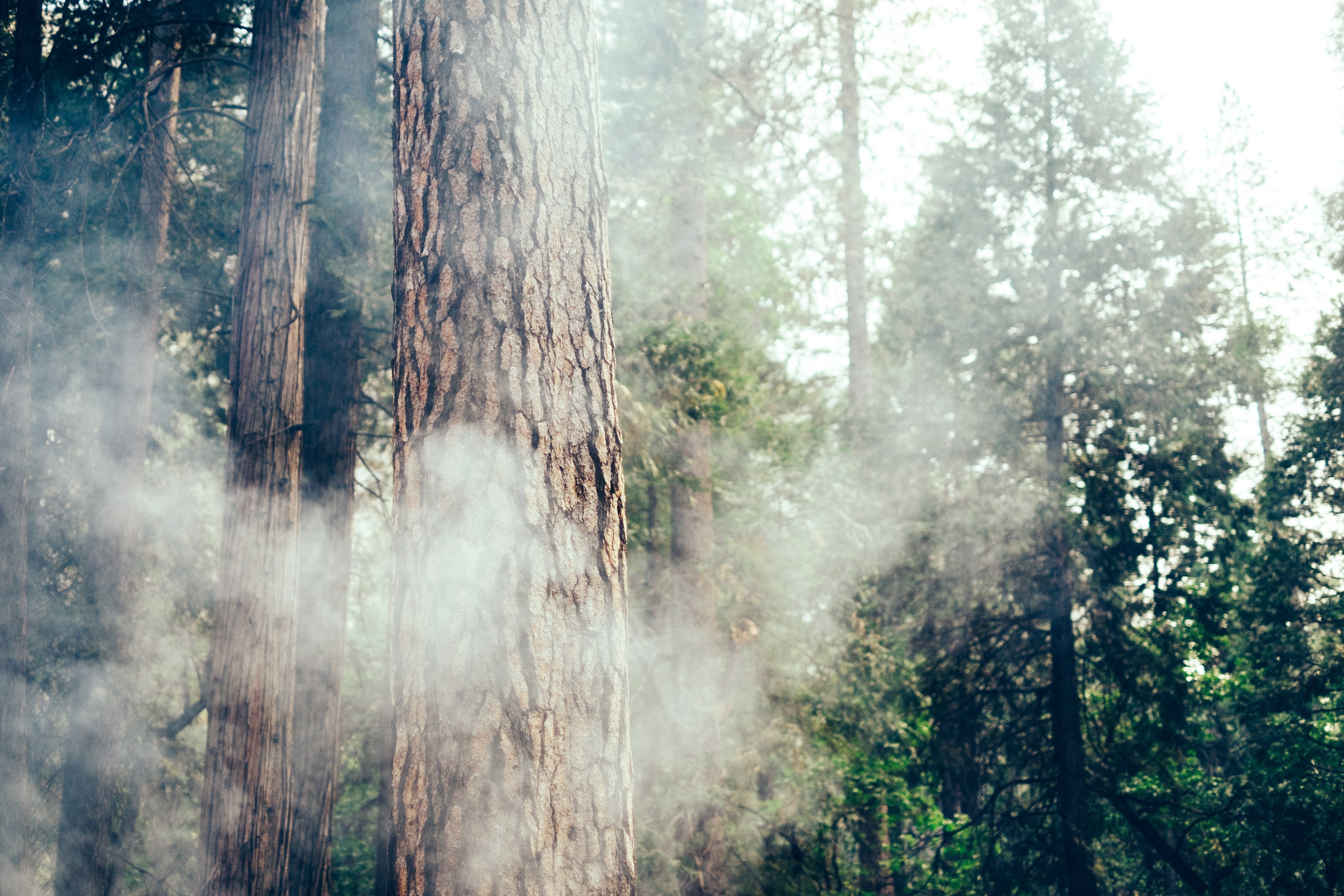 Aftereffects of Wildfire Smoke Indoors