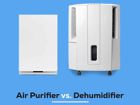 Air Purifier vs. Dehumidifier: Which Is Best For You?