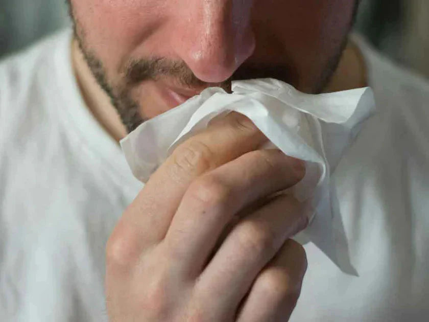 Intellipure May 2024 Allergen Report: What's in Your Air This Spring