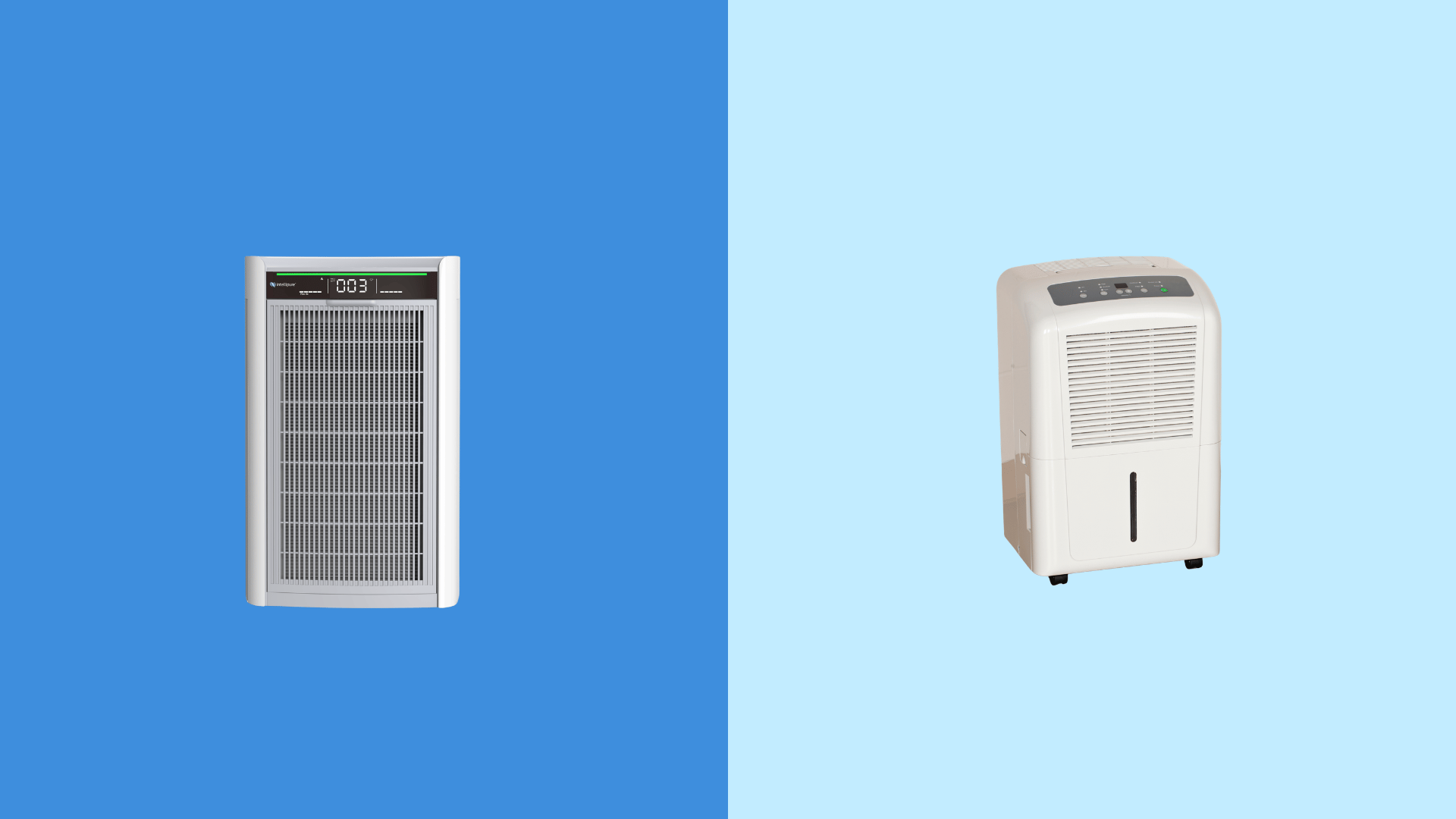 Should You Pair an Air Purifier and a Dehumidifier This Summer?
