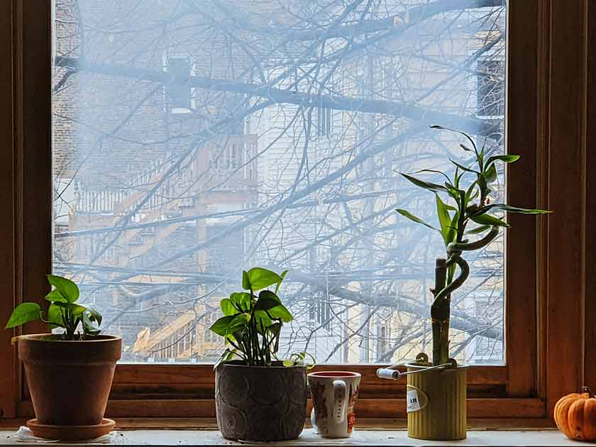 Do Air Purifiers Work? Your Questions Answered