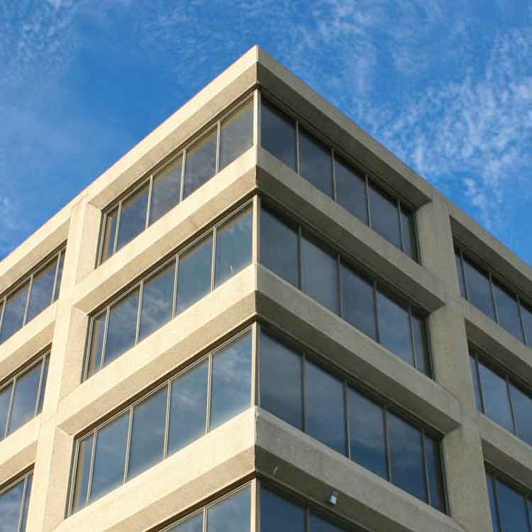 Go Green in the Workplace For Better Employee Performance