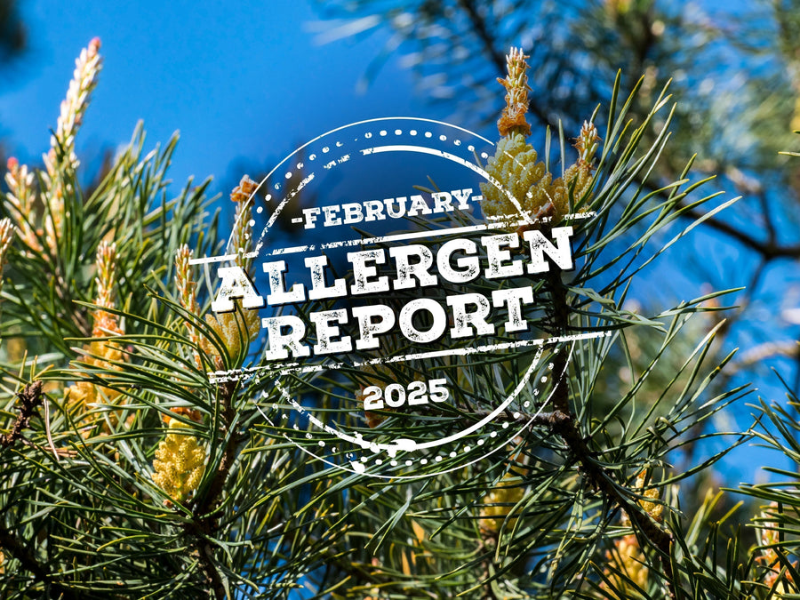 Allergen Report: What's in Your Air This February