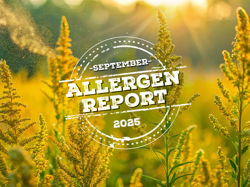 Intellipure Monthly Air Quality & Allergen Report