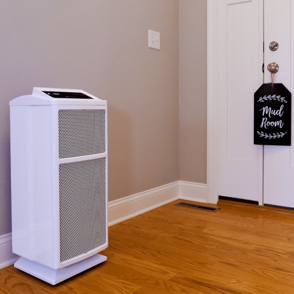 Fact And Fiction: Everything You Need To Know About Air Purifiers