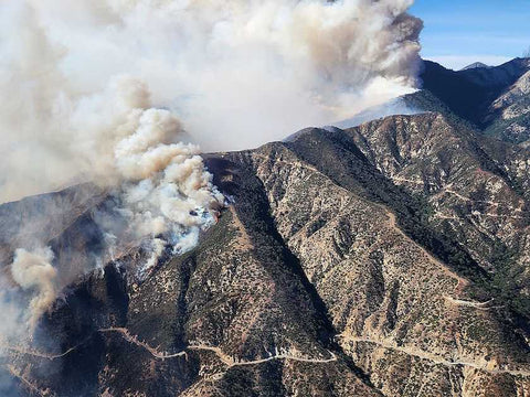Intellipure Donates 1,000 Air Purifiers to ShelterBox USA for Altadena Fire Relief. Image courtesy Wikimedia Commons: https://commons.wikimedia.org/wiki/File:Eaton_Fire_on_2025-1-8_(cropped).jpg