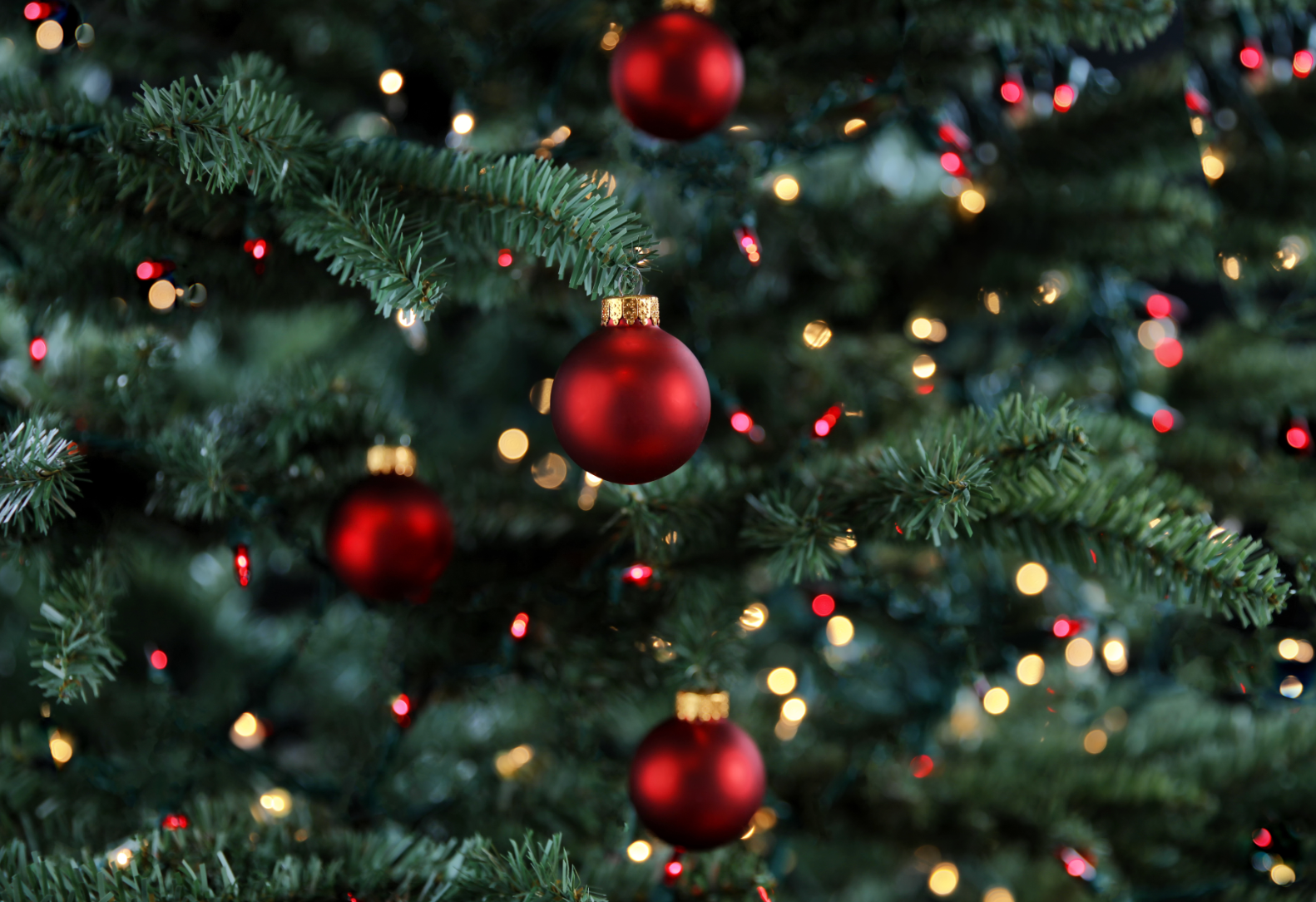 O Christmas Tree, O VOCs: How Greenery Affects Air Quality