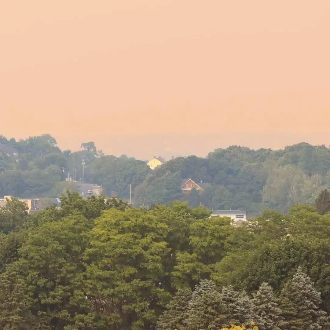 What Is Air Quality Like in Your City?