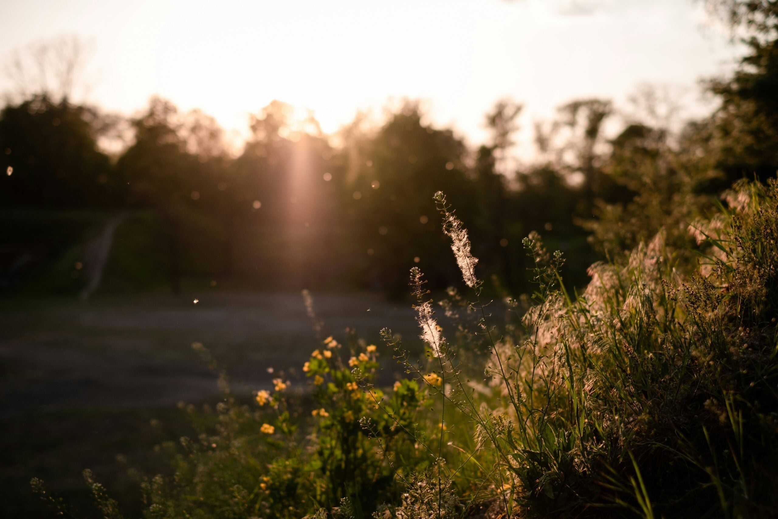 Preparing for Allergy Season with Clean Air in Your Home