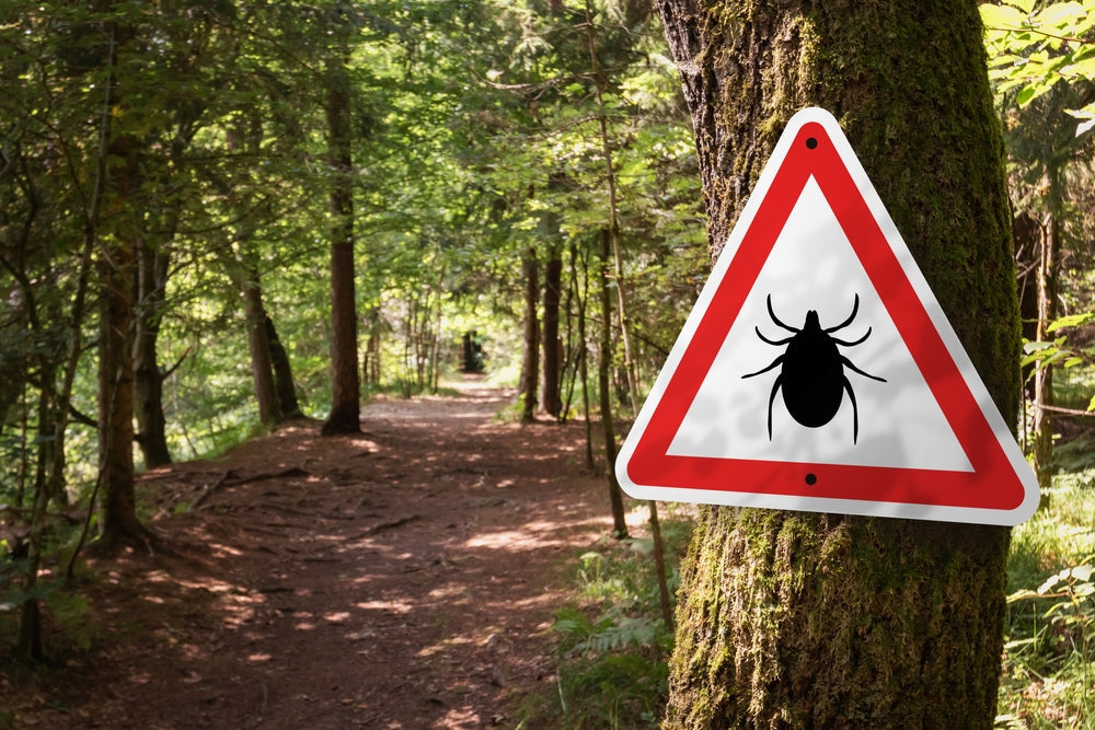 Living and Breathing with Lyme Disease