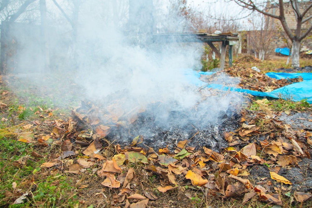 Fall Leaf Burning and Air Quality
