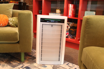 H1000 in living room