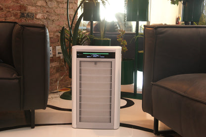 H1000 in living room