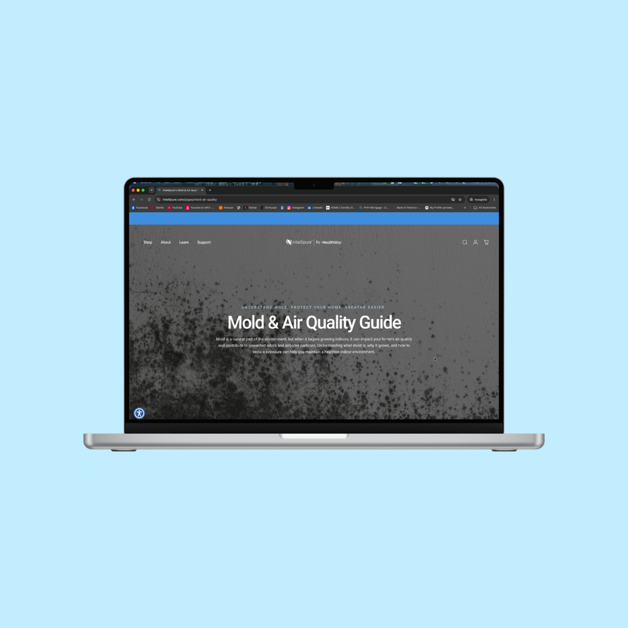Mold & Air Quality