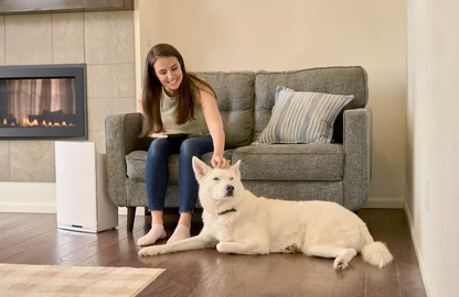 Woman sitting on a couch with a white dog in a living room.