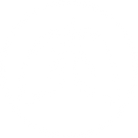 Respiratory System