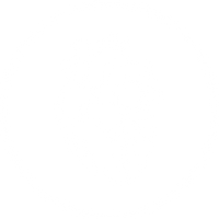 Cardiovascular System