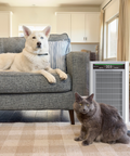 Dog and cat sitting in a living room with an air purifier between them.