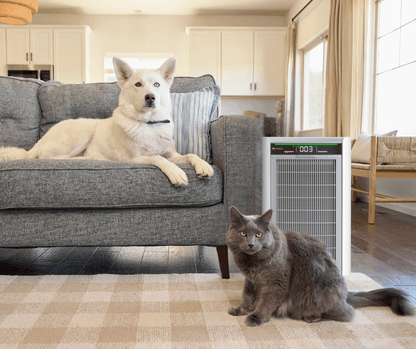 Smart HEPA Air Purifier and Filter Replacement Bundle with WiFi/App Control