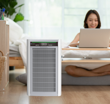 Person using a laptop with an air purifier in a home setting