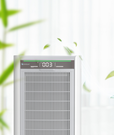Air purifier in a room with plants and a couch