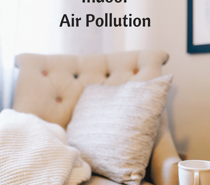 How to Reduce Indoor Air Pollution: Dr. Karen Lee’s Five Tips