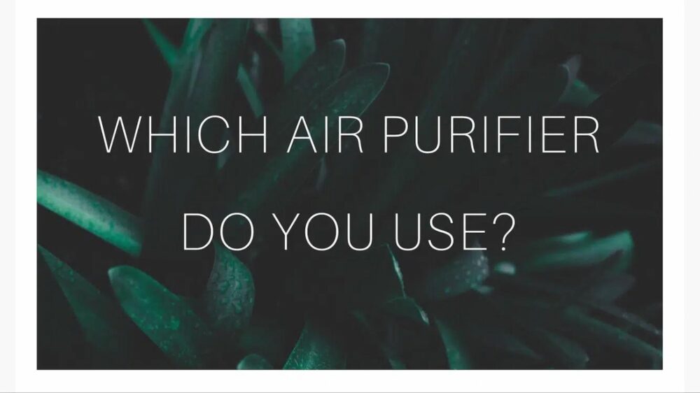 Which Air Purifier Do You Use?