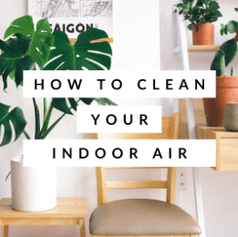 How To Clean Your Indoor Air