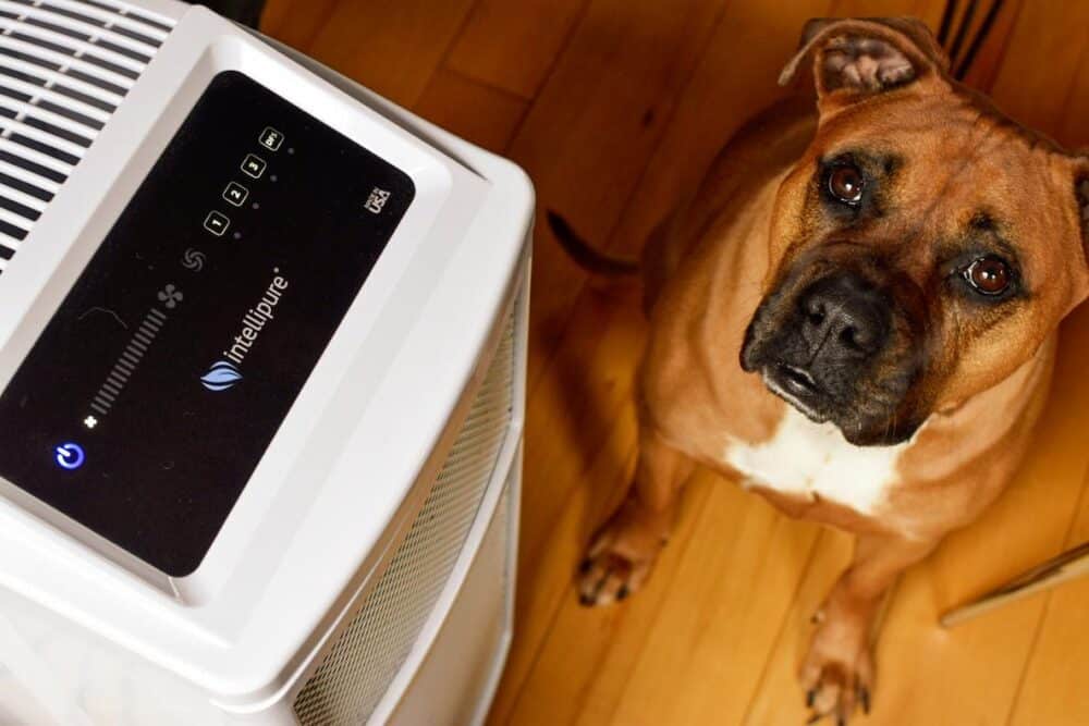 a dog next to an UltraPure 468 air purifier