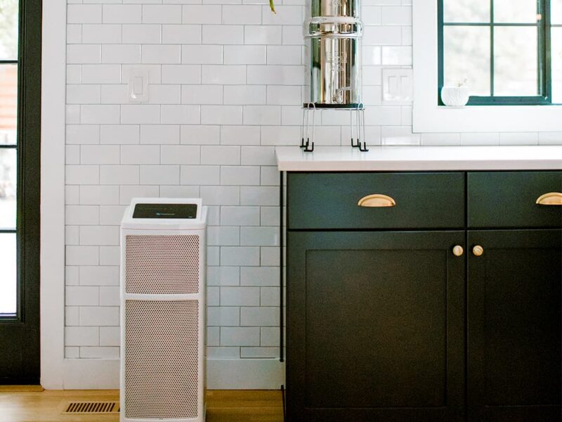 Survey Data: Top Reasons People are Buying Air Purifiers